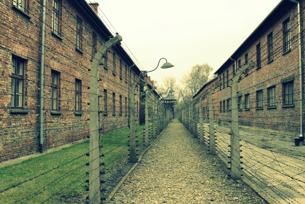 Auschwitz, the most notorious of Nazi Germany's death camps, will be the subject of our annual International Holocaust Remembrance Day lecture.