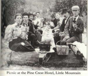 Pine-crest-hotel-picnic