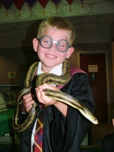 Kids and teens can celebrate Harry Potter's birthday with crafty programs at The HUB.